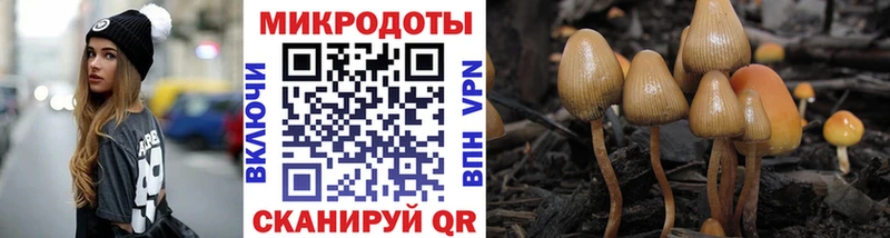 Галлюциногенные грибы ЛСД  Фатеж 